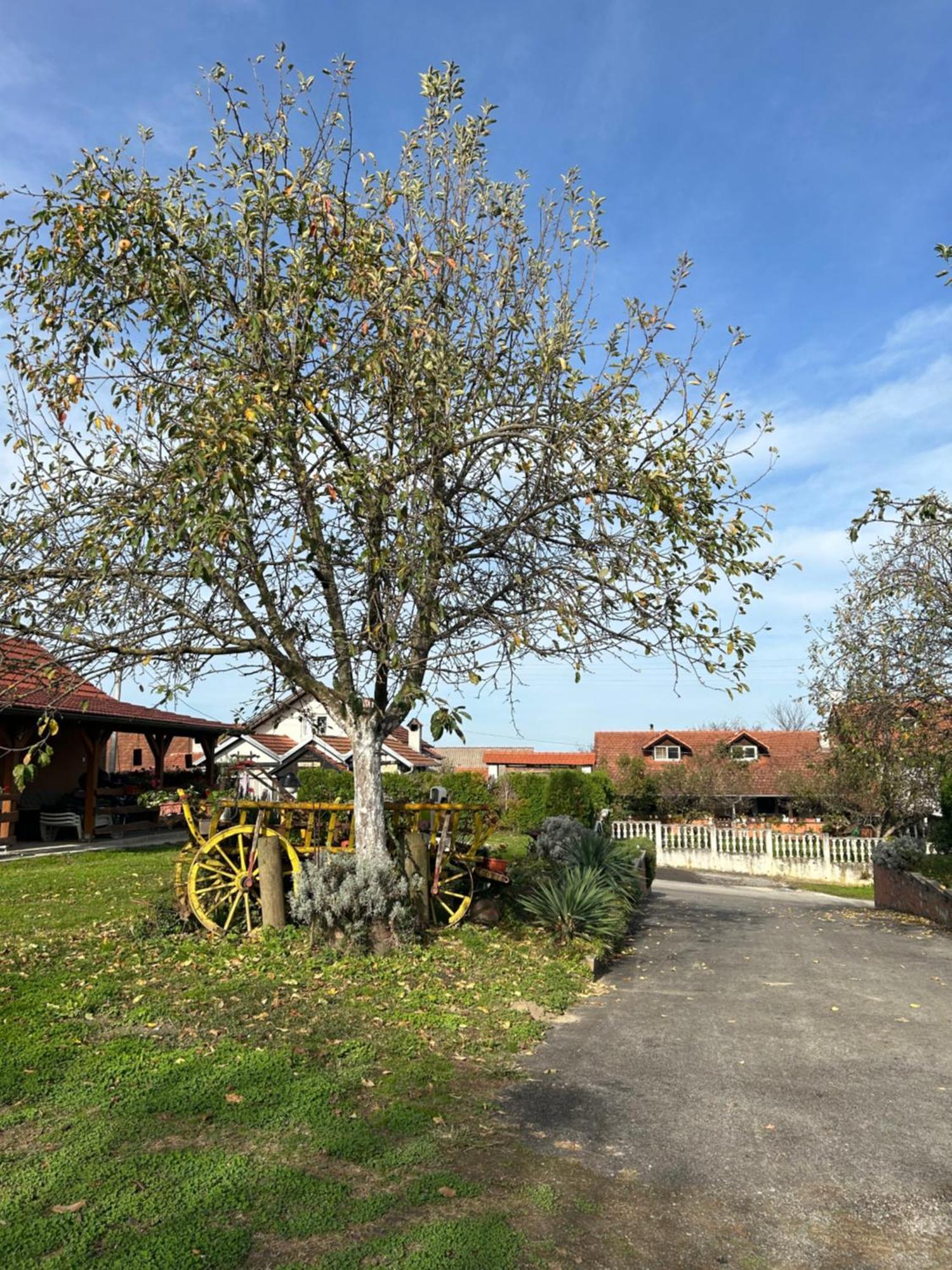 B&B Lukac Кутина Экстерьер фото